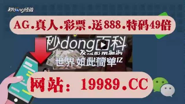 2024澳门天天开奖免费材料,现状说明解析_AP48.538