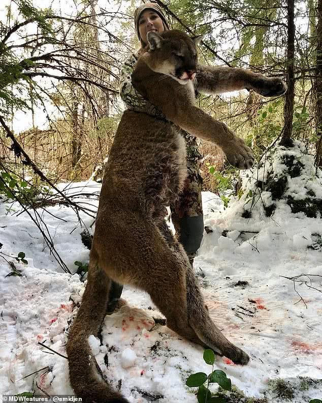 悲剧背后的真相追寻，男子疑被误认猎物遭枪击身亡事件揭秘