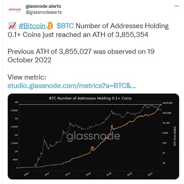 上市公司囤货2641枚比特币，数字资产的新视角