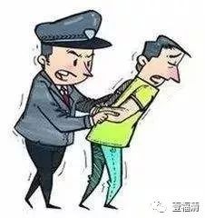 两人疯狂偷鸡18次终获刑，警示与反思