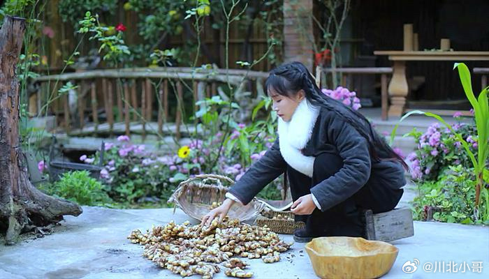 凉粉嬢嬢意外走红，李子柒的无意助推