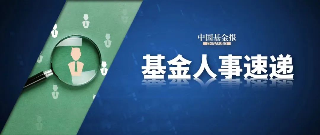 公募巨头董事长变动揭秘，行业变革下的领导力重塑