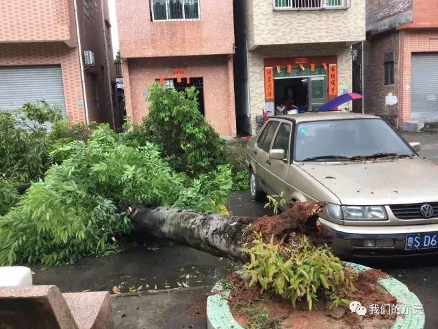 深圳街道遭遇海水倒灌淹水危机