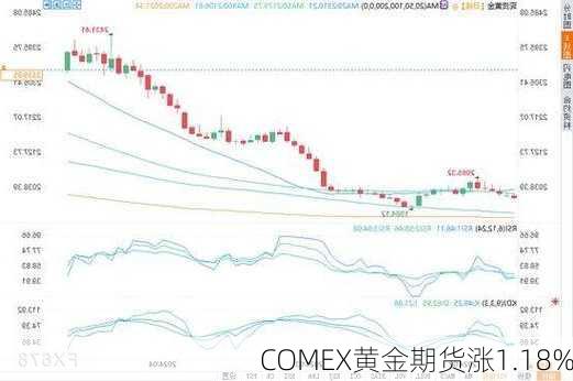 COMEX期金震荡，日内跌幅达1%，市场反应与前景展望