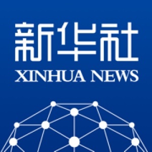 聚焦未来，深度解析2025年考研背后的故事——探寻388万人报名的背后真相