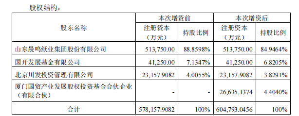 晨鸣纸业应对债务逾期挑战与机遇的企业策略解析