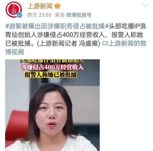 浪胃仙IP创始人获刑八年，商业伦理的深刻警示与反思