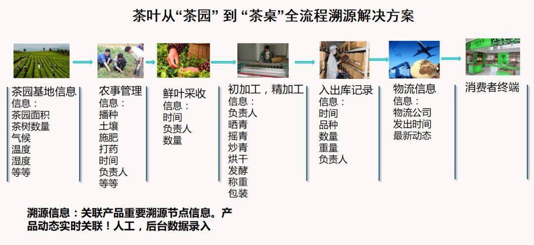 澳门一码一肖一恃一中347期,高效策略设计解析_尊享款36.104