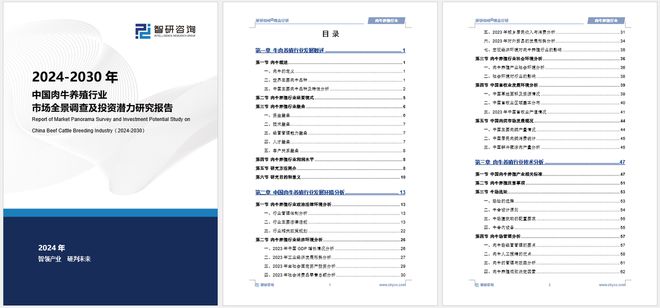 2024全年资料免费大全,深入数据解析策略_旗舰版34.825