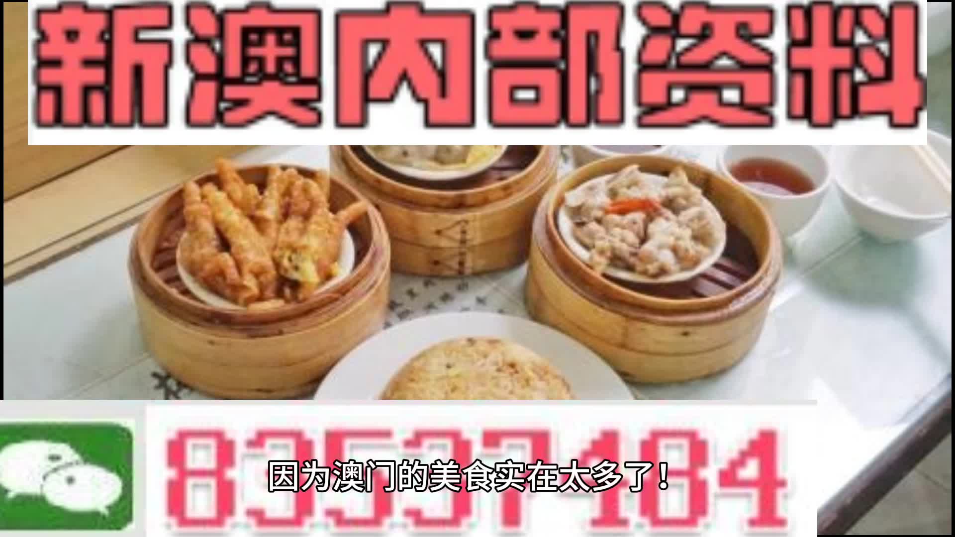 新澳门资料大全正版资料2024年免费下载,家野中特,定性解答解释定义_BT62.224