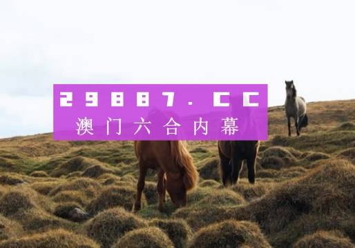 旧澳门开奖结果+开奖记录,迅捷解答计划落实_精装版26.415