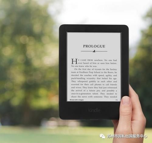 新澳天天开奖资料大全1050期,权威分析说明_Kindle52.455