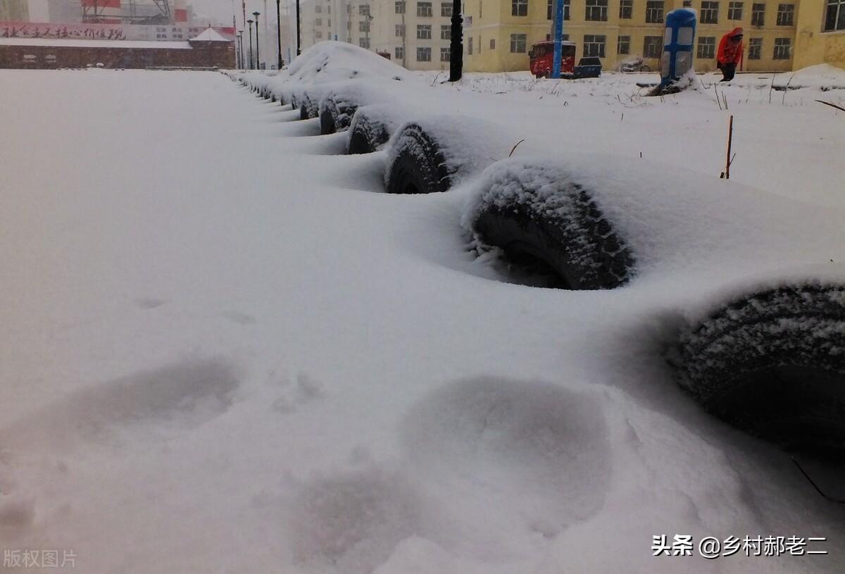 东北破纪录特大暴雪，挑战与应对策略