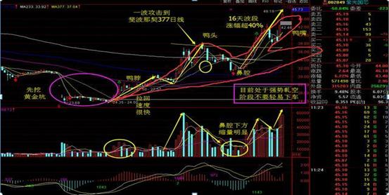 湖南黄金盘初跌停，市场反应及未来展望分析