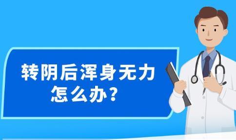 新澳精准资料大全免费更新,实地设计评估数据_Elite18.423