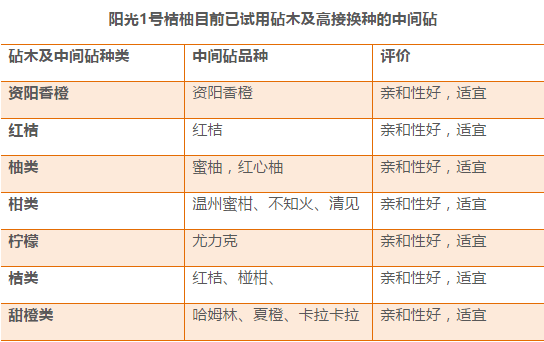 新澳2024年开奖记录,可靠分析解析说明_2DM35.248