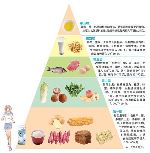 2024年老年人膳食宝塔，开启健康饮食新篇章