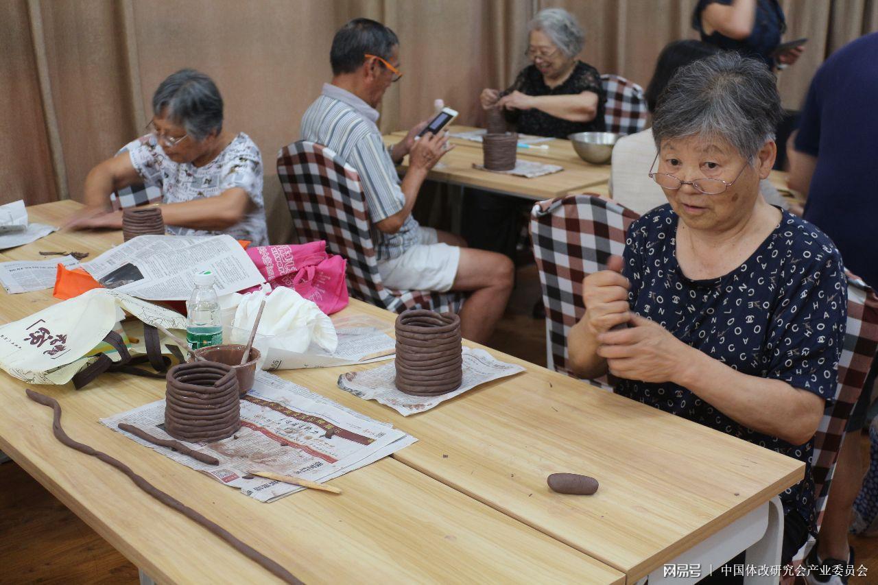 上海浦东新区养老院概览，质量与选择深度探讨