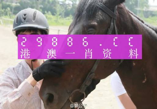 澳门今晚必中一肖一码,高效实施方法分析_X71.335