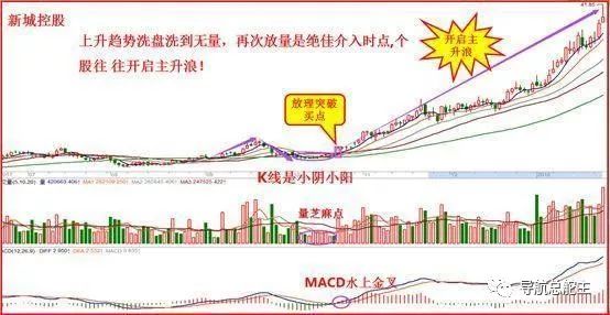 管家婆一码一肖100准确打不开,整体执行讲解_冒险版89.965