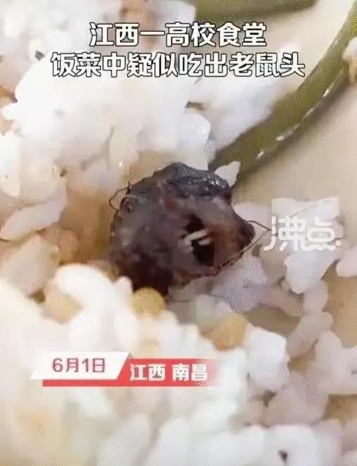 学校食堂异物事件引发关注，食品安全监管亟待加强