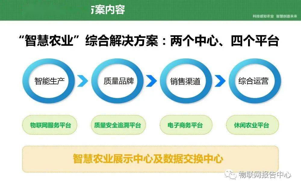 澳门一码一肖一特一中是合法的吗,迅捷解答计划落实_Q40.787