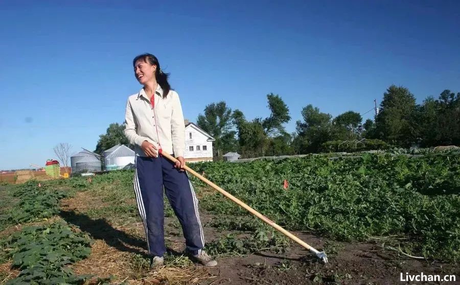 女硕士回村种地，最怕同学聚会，女硕士回村种地，同学聚会成难题