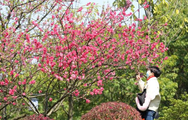 公园拍节目拒绝持票游客入园，公园拍节目拒绝持票游客入园