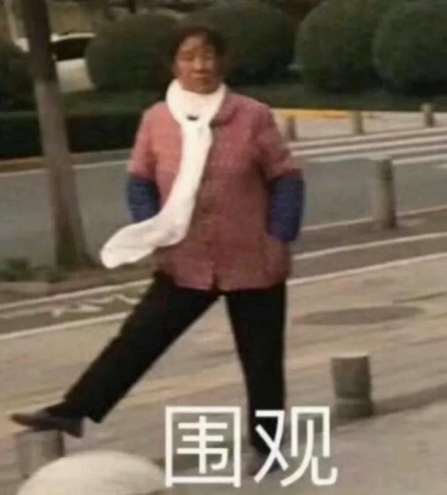 大妈吵架引发围观，女生模仿揭示背后社会镜像