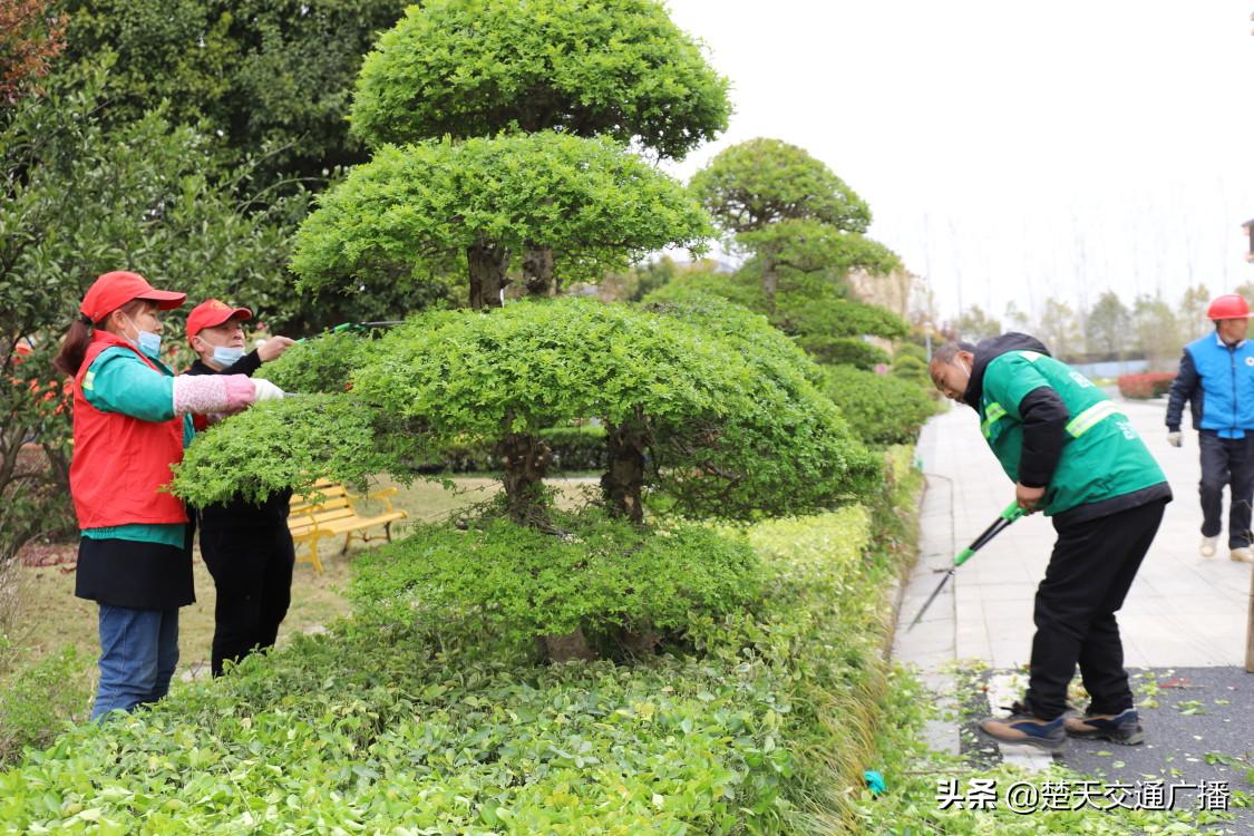 养老院小游戏，点亮老年生活的多彩乐趣时光