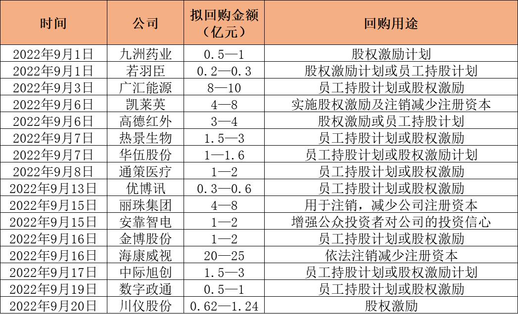 海康威视回购股票，企业信心与战略布局的体现