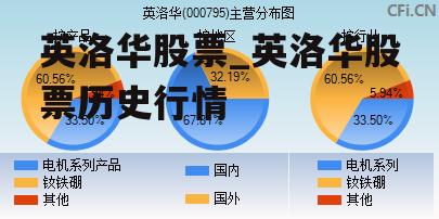 英洛华股票代码，深度解析与探索