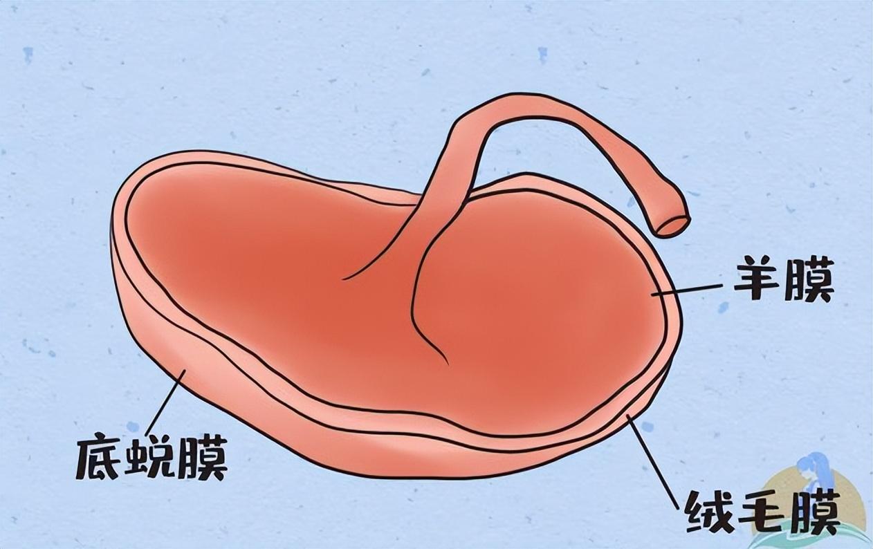 儿童咳嗽持续时间解析，孩子咳嗽不应超过多少天？应对策略全知道