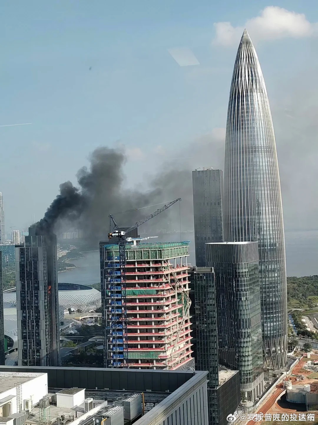 深圳湾爆炸事件，悲剧背后的故事，深圳湾爆炸事件，悲剧背后的故事