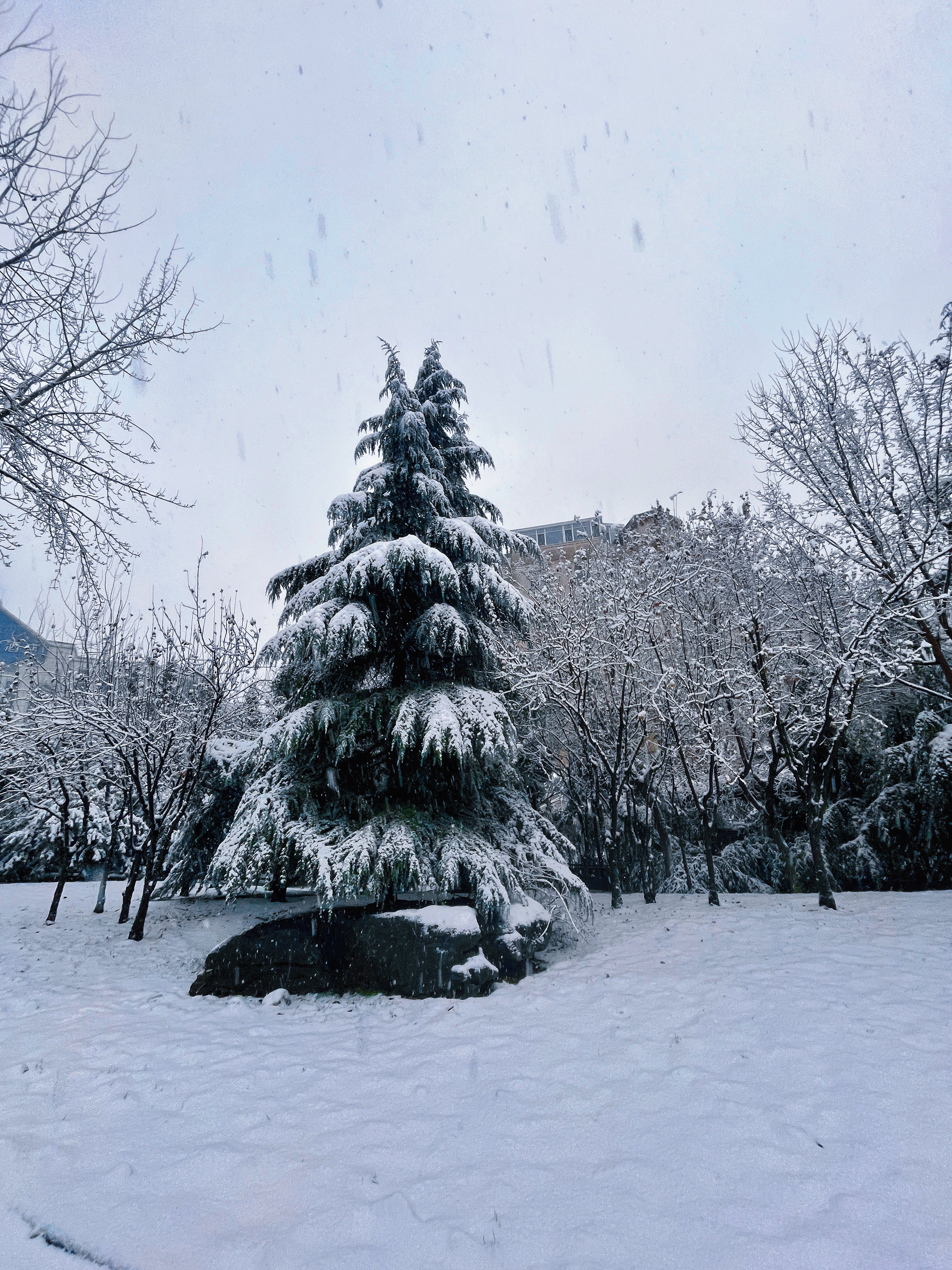 济南下雪，济南下雪