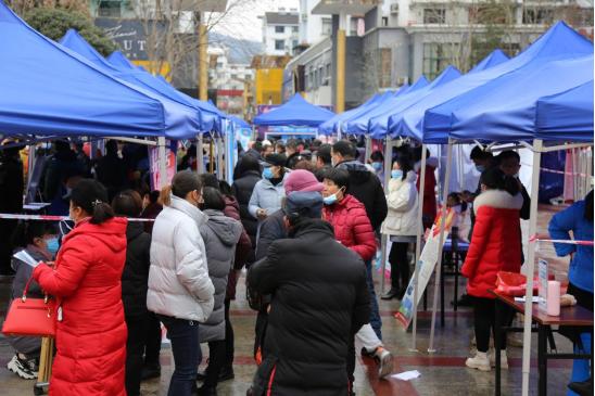 黄山区人民政府办公室最新招聘通告概览