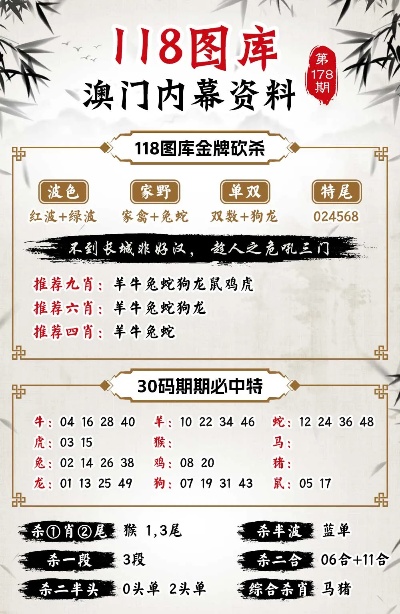 澳门马今天开什么特马,高效策略设计解析_WP31.751