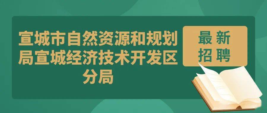 城北区自然资源和规划局招聘新公告解析