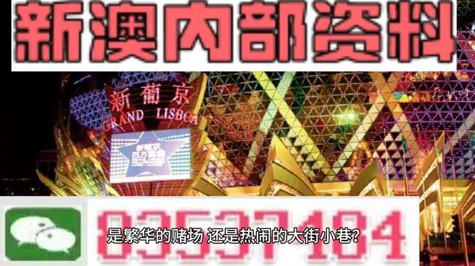 新澳门精准资料大全管家婆料,实践性方案设计_挑战版94.503