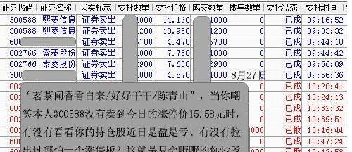 2024澳门天天开好彩大全53期,深入数据解析策略_精英版201.124