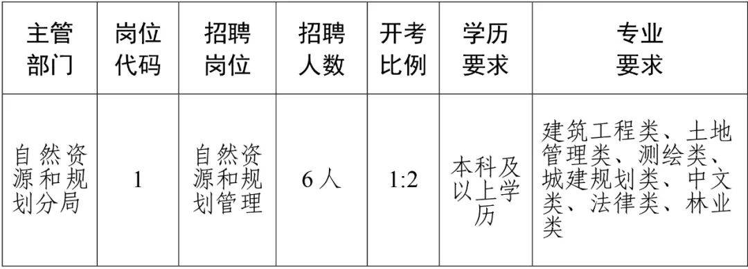 2024年12月16日 第13页