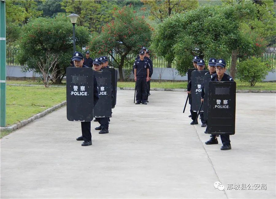 那坡县人民政府办公室最新招聘信息全面解析