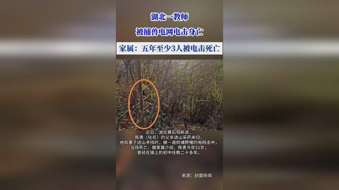 湖北教师遭捕兽电网电击身亡