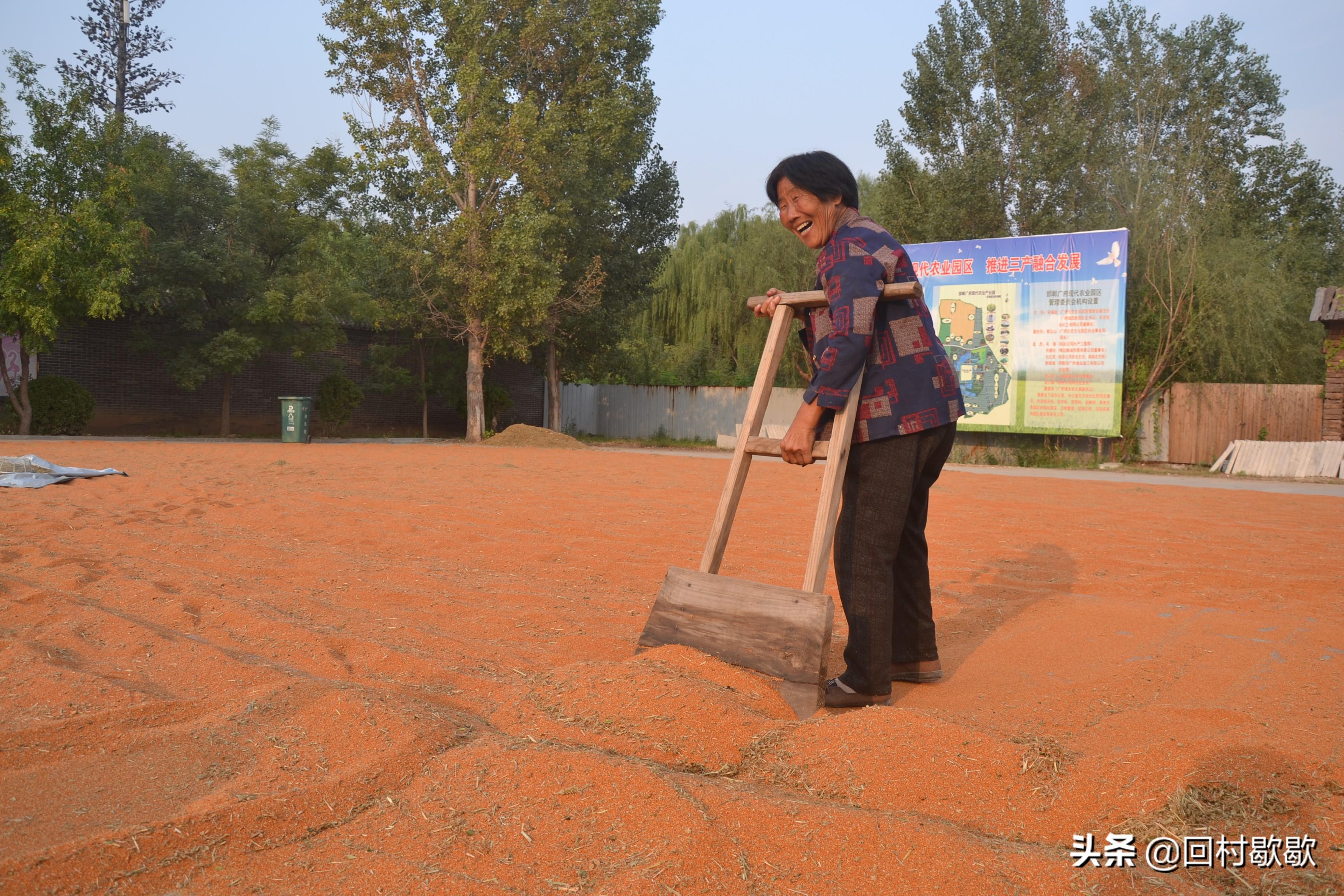 年轻人买谷子4个月花费数十万