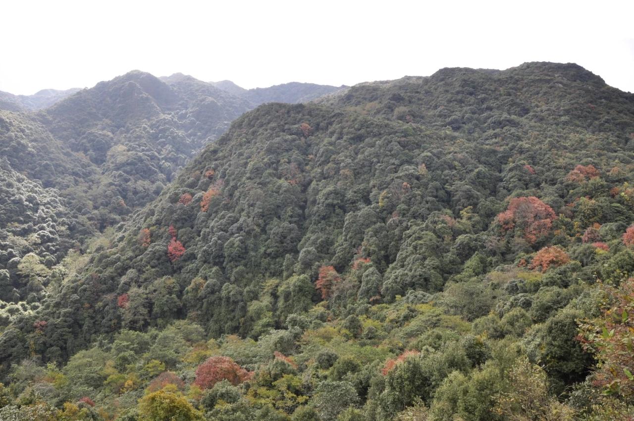 镇沅彝族哈尼族拉祜族自治县成人教育领导团队领导力展现及最新领导变动