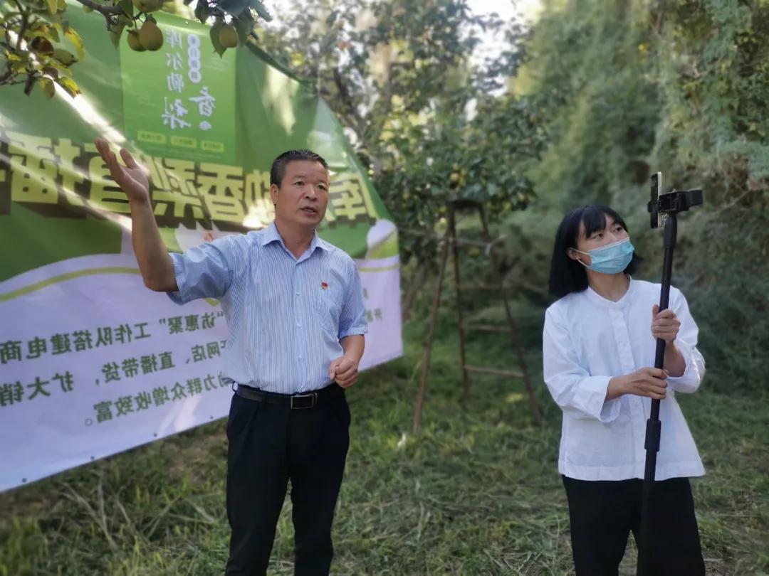 阿瓦提县住房和城乡建设局最新发展规划概览