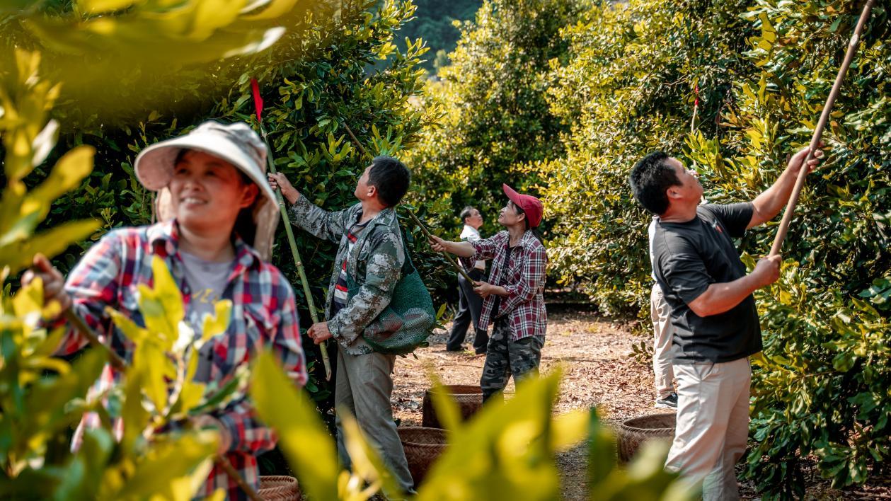 龙州县文化广电体育和旅游局领导团队最新概述