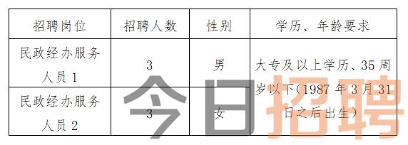 乐亭县民政局最新招聘信息深度解读