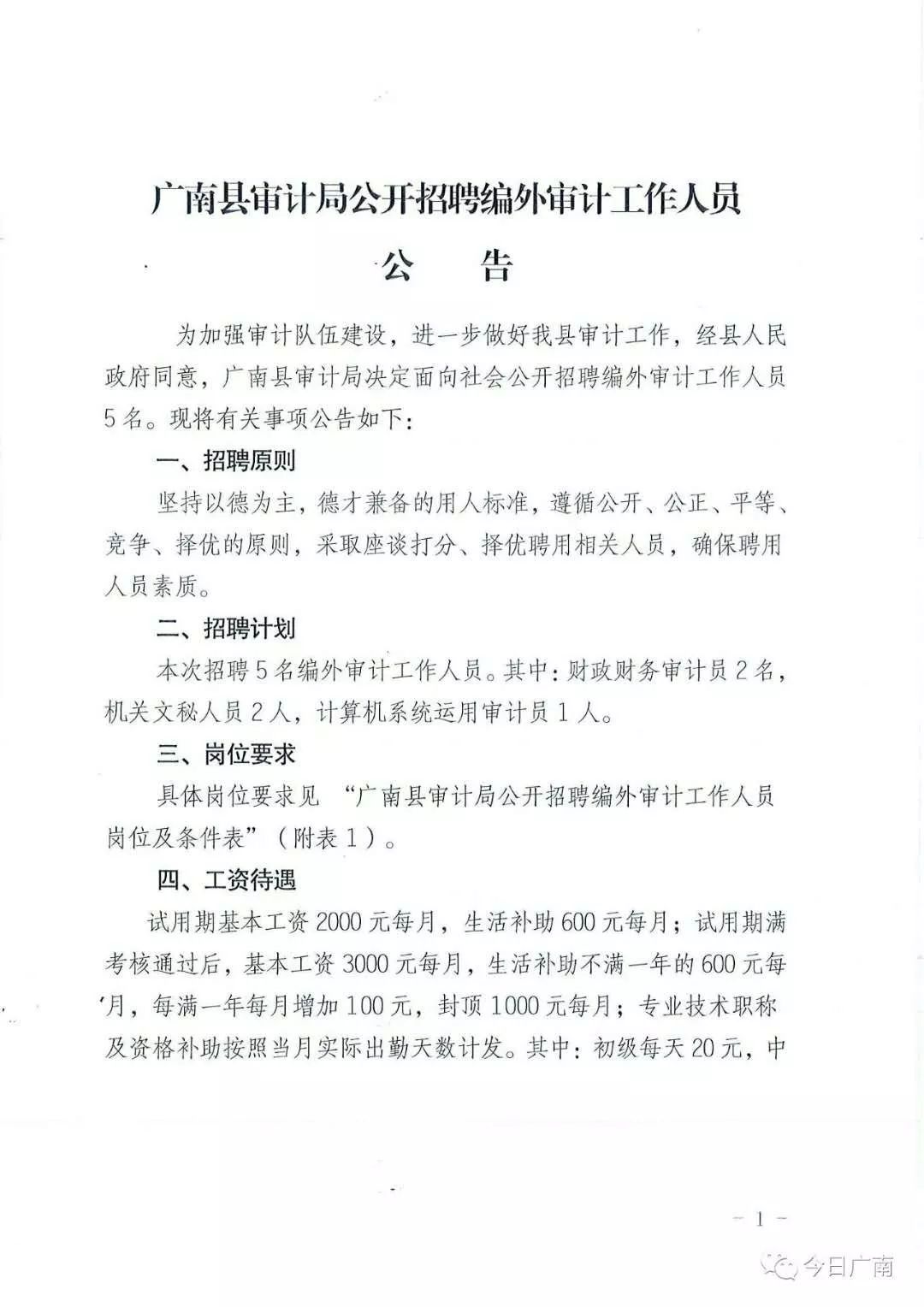 凌云县审计局最新招聘公告详解