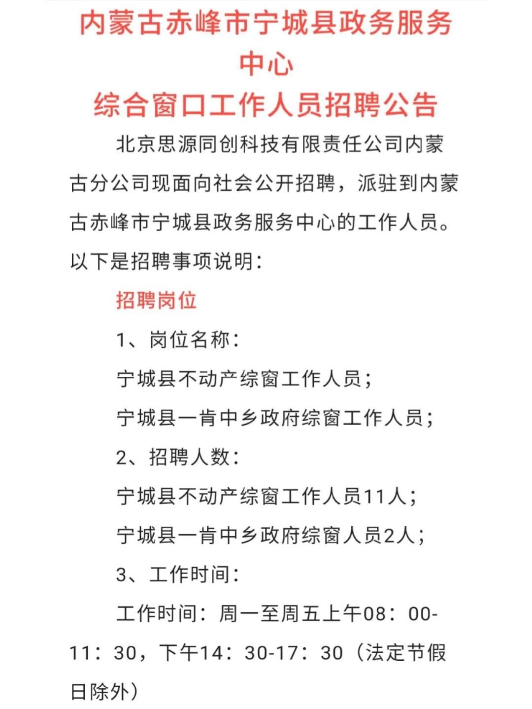 新宁县文化局及关联单位招聘启事概览